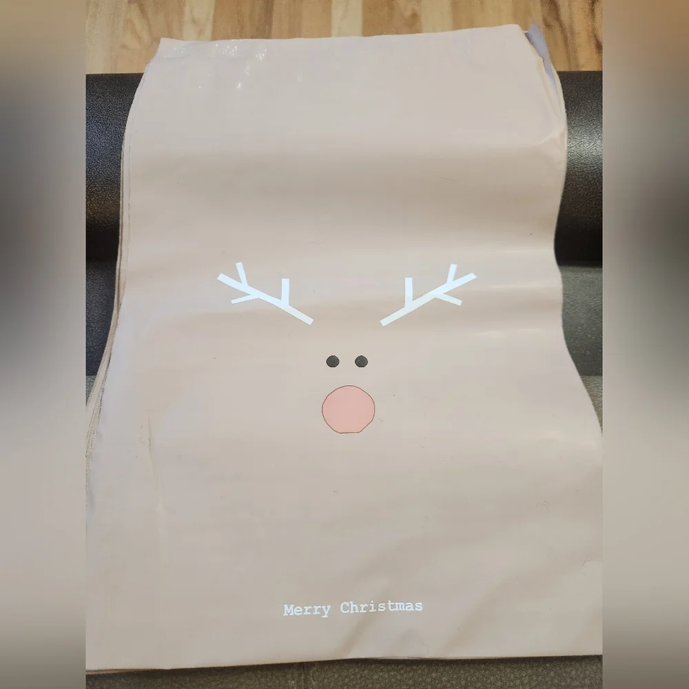 Reindeer Christmas 10 X 13 Polymailers - 10